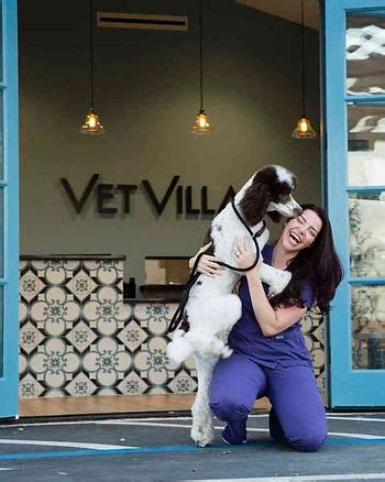 Vet villa. Things To Know About Vet villa. 